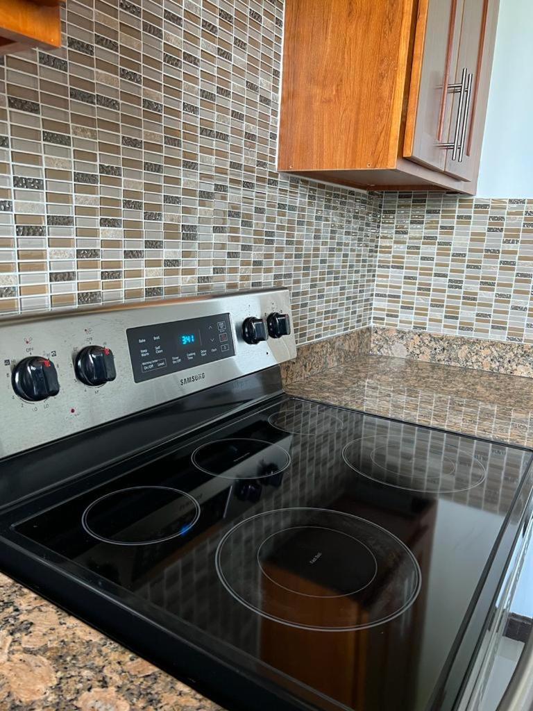 Metcalfe Luxury One Bedroom Suite Kingston Esterno foto